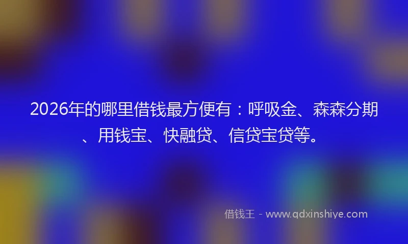 2026年的哪里借钱最方便有：呼吸金、森森分期、用钱宝、快融贷、信贷宝贷等。