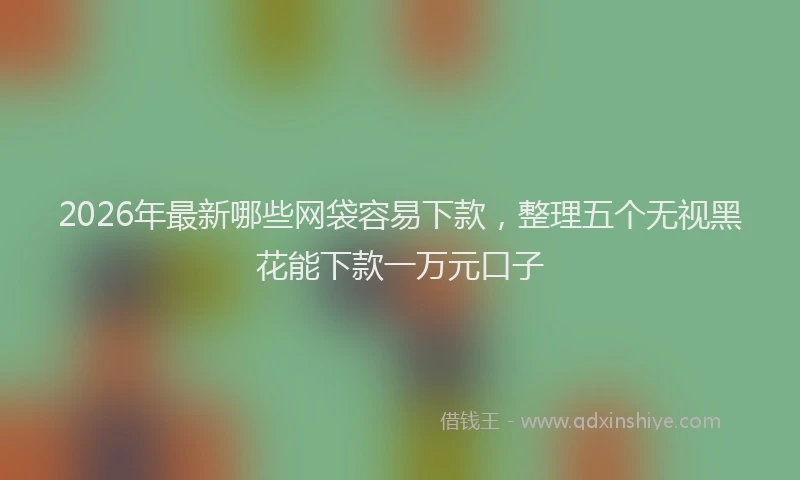 2026年最新哪些网袋容易下款,整理五个无视黑花能下款一万元口子