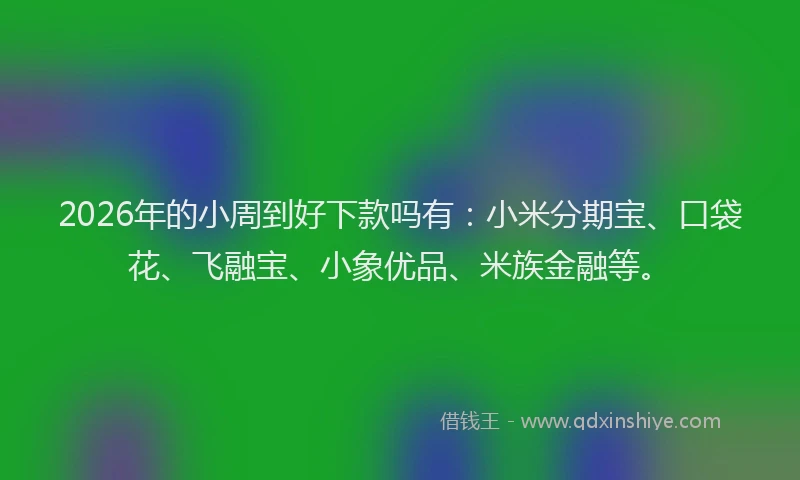 2026年的小周到好下款吗有：小米分期宝、口袋花、飞融宝、小象优品、米族金融等。