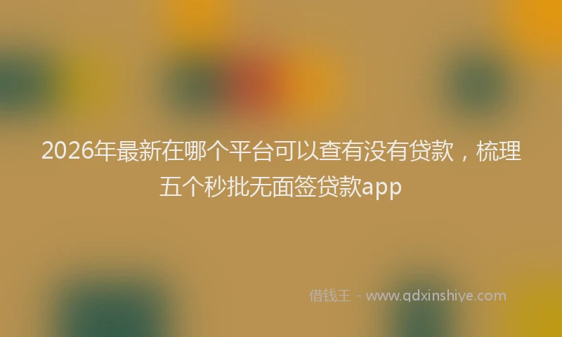 2026年最新在哪个平台可以查有没有贷款，梳理五个秒批无面签贷款app