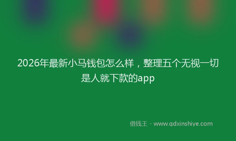 2026年最新小马钱包怎么样，整理五个无视一切是人就下款的app