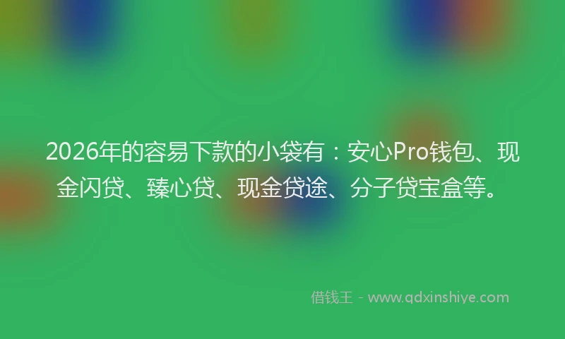 2026年的容易下款的小袋有：安心Pro钱包、现金闪贷、臻心贷、现金贷途、分子贷宝盒等。