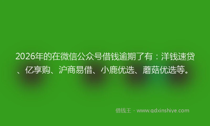 2026年的在微信公众号借钱逾期了有：洋钱速贷、亿享购、沪商易借、小鹿优选、蘑菇优选等。