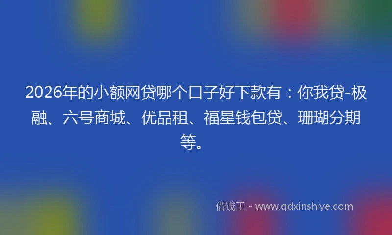 2026年的小额网贷哪个口子好下款有：你我贷-极融、六号商城、优品租、福星钱包贷、珊瑚分期等。