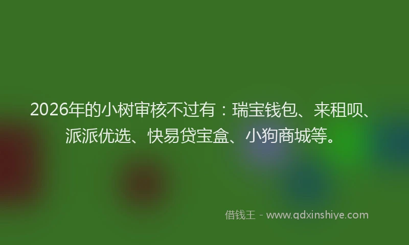 2026年的小树审核不过有：瑞宝钱包、来租呗、派派优选、快易贷宝盒、小狗商城等。