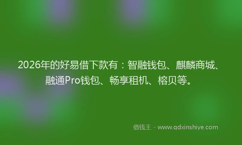2026年的好易借下款有：智融钱包、麒麟商城、融通Pro钱包、畅享租机、榕贝等。