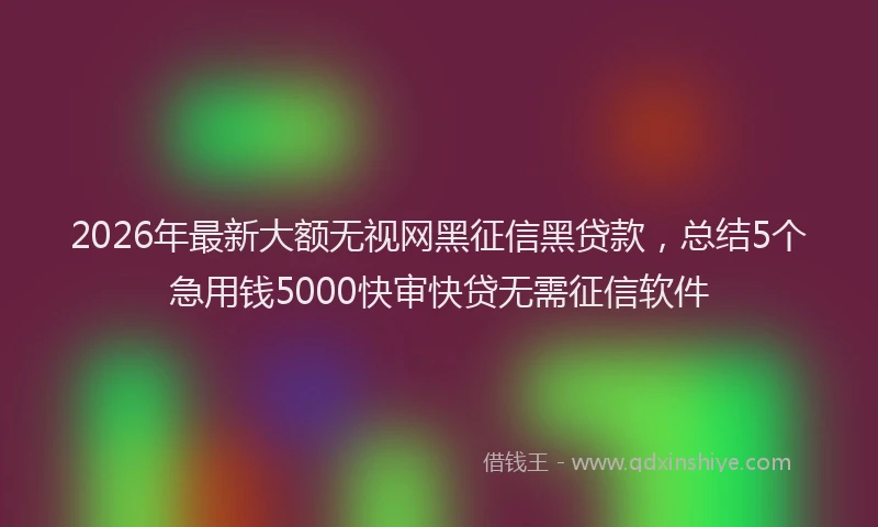 2026年最新大额无视网黑征信黑贷款，总结5个急用钱5000快审快贷无需征信软件