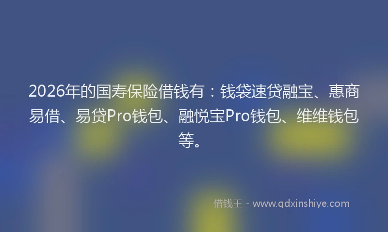 2026年的国寿保险借钱有：钱袋速贷融宝、惠商易借、易贷Pro钱包、融悦宝Pro钱包、维维钱包等。