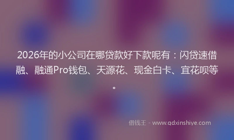 2026年的小公司在哪贷款好下款呢有：闪贷速借融、融通Pro钱包、天源花、现金白卡、宜花呗等。
