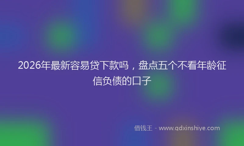 2026年最新容易贷下款吗，盘点五个不看年龄征信负债的口子