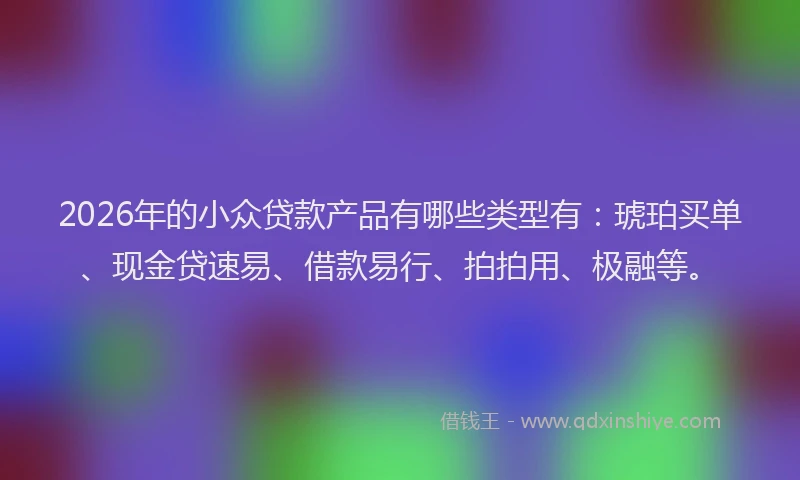2026年的小众贷款产品有哪些类型有：琥珀买单、现金贷速易、借款易行、拍拍用、极融等。