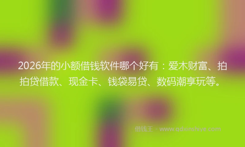 2026年的小额借钱软件哪个好有：爱木财富、拍拍贷借款、现金卡、钱袋易贷、数码潮享玩等。