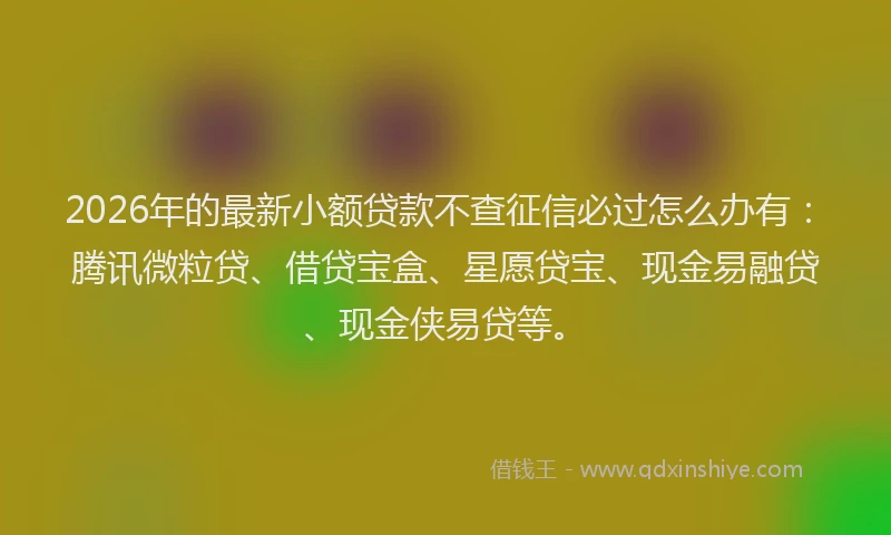 2026年的最新小额贷款不查征信必过怎么办有：腾讯微粒贷、借贷宝盒、星愿贷宝、现金易融贷、现金侠易贷等。