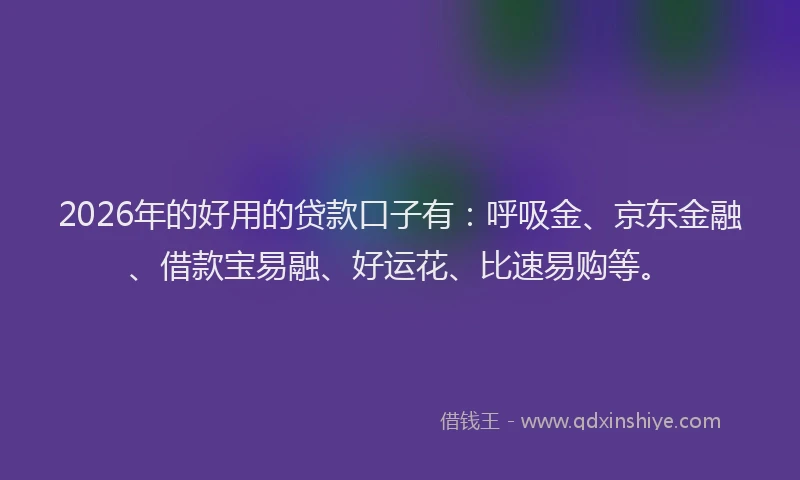 2026年的好用的贷款口子有：呼吸金、京东金融、借款宝易融、好运花、比速易购等。
