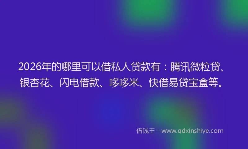 2026年的哪里可以借私人贷款有：腾讯微粒贷、银杏花、闪电借款、哆哆米、快借易贷宝盒等。