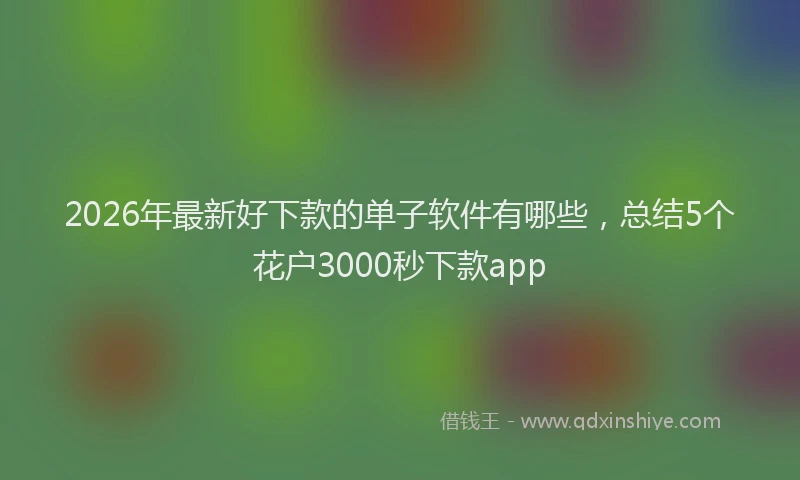 2026年最新好下款的单子软件有哪些，总结5个花户3000秒下款app