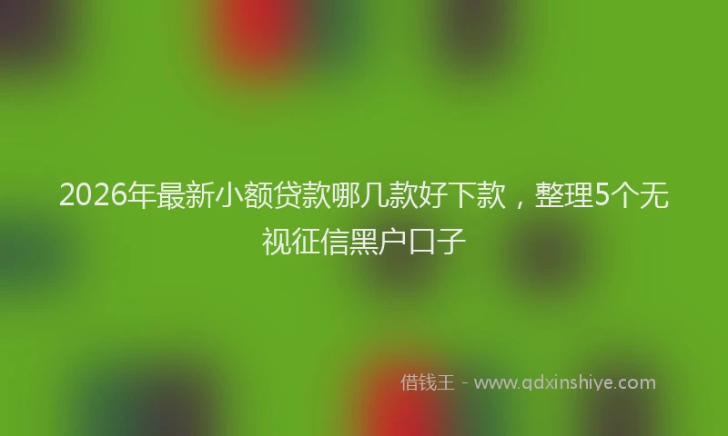 2026年最新小额贷款哪几款好下款，整理5个无视征信黑户口子