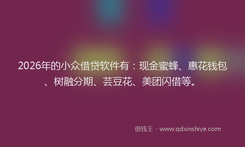 2026年的小众借贷软件有：现金蜜蜂、惠花钱包、树融分期、芸豆花、美团闪借等。