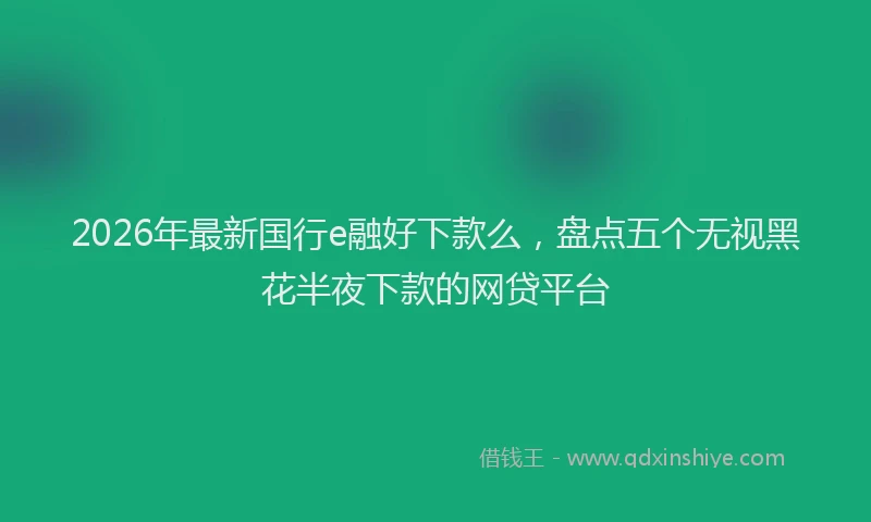 2026年最新国行e融好下款么，盘点五个无视黑花半夜下款的网贷平台