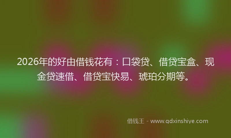 2026年的好由借钱花有：口袋贷、借贷宝盒、现金贷速借、借贷宝快易、琥珀分期等。