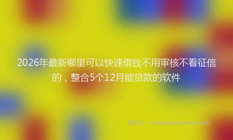 2026年最新哪里可以快速借钱不用审核不看征信的，整合5个12月能贷款的软件