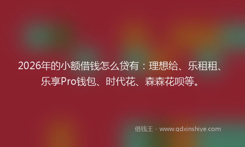 2026年的小额借钱怎么贷有：理想给、乐租租、乐享Pro钱包、时代花、森森花呗等。