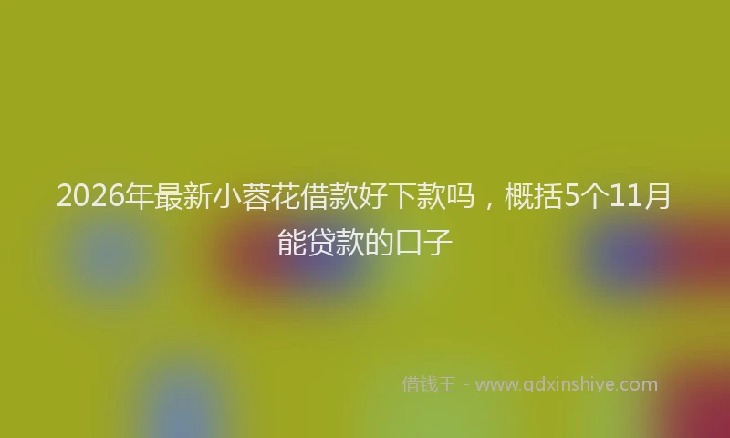 2026年最新小蓉花借款好下款吗，概括5个11月能贷款的口子