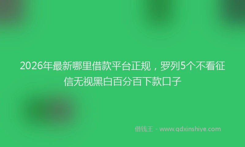 2026年最新哪里借款平台正规,罗列5个不看征信无视黑白百分百下款口子