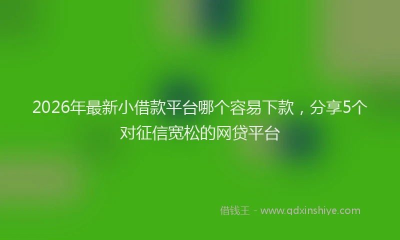 2026年最新小借款平台哪个容易下款，分享5个对征信宽松的网贷平台
