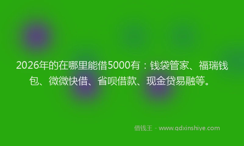 2026年的在哪里能借5000有：钱袋管家、福瑞钱包、微微快借、省呗借款、现金贷易融等。