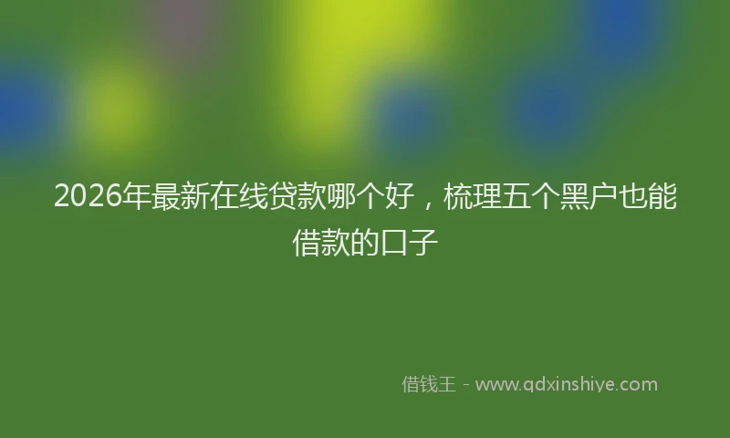 2026年最新在线贷款哪个好，梳理五个黑户也能借款的口子