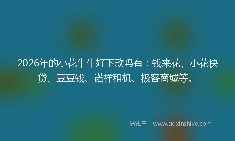 2026年的小花牛牛好下款吗有：钱来花、小花快贷、豆豆钱、诺祥租机、极客商城等。