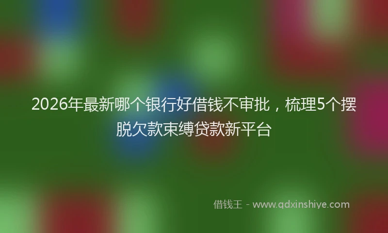 2026年最新哪个银行好借钱不审批,梳理5个摆脱欠款束缚贷款新平台