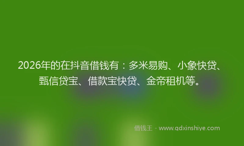 2026年的在抖音借钱有:多米易购、小象快贷、甄信贷宝、借款宝快贷、金帝租机等。