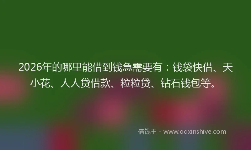 2026年的哪里能借到钱急需要有:钱袋快借、天小花、人人贷借款、粒粒贷、钻石钱包等。