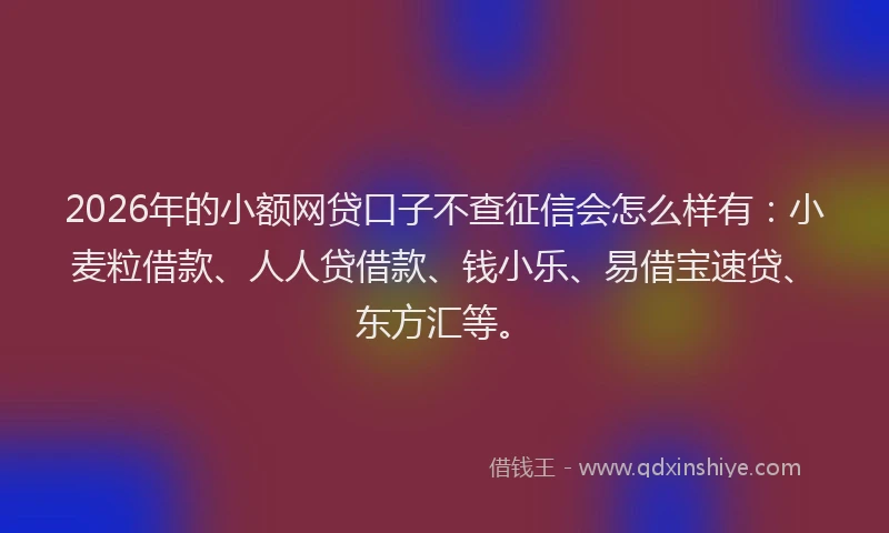 2026年的小额网贷口子不查征信会怎么样有：小麦粒借款、人人贷借款、钱小乐、易借宝速贷、东方汇等。