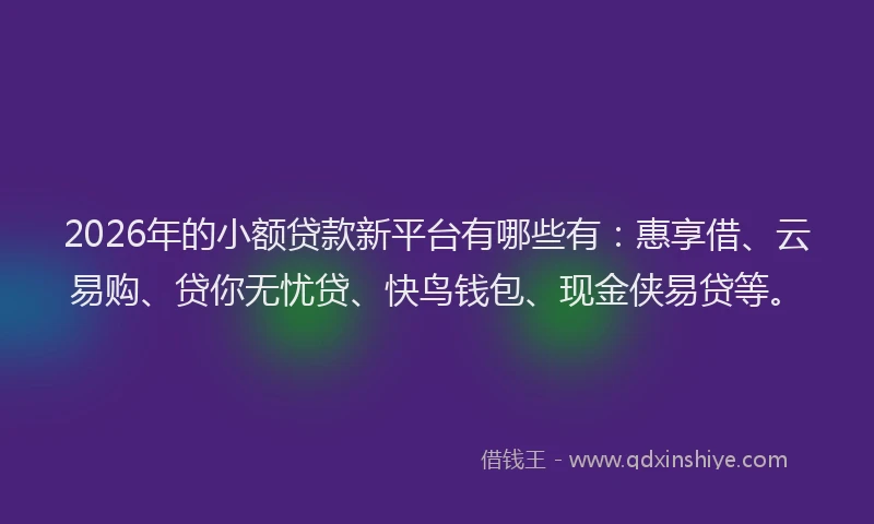 2026年的小额贷款新平台有哪些有：惠享借、云易购、贷你无忧贷、快鸟钱包、现金侠易贷等。