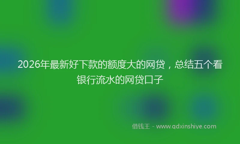 2026年最新好下款的额度大的网贷，总结五个看银行流水的网贷口子