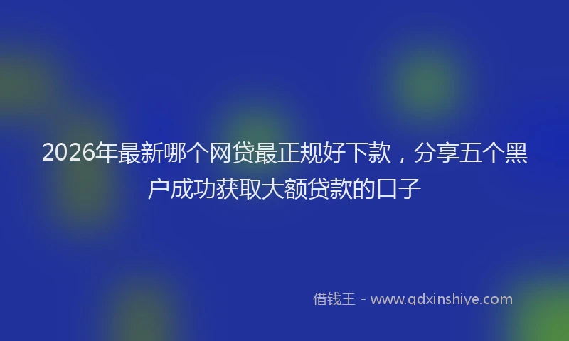2026年最新哪个网贷最正规好下款，分享五个黑户成功获取大额贷款的口子