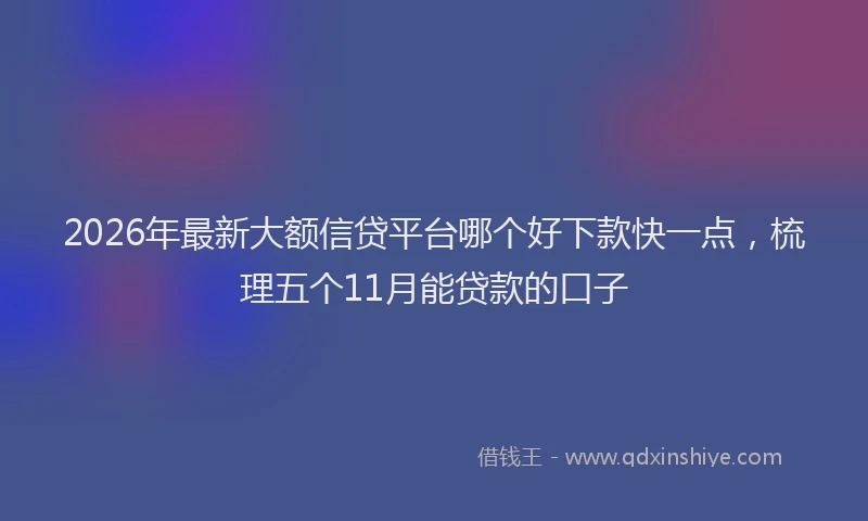 2026年最新大额信贷平台哪个好下款快一点，梳理五个11月能贷款的口子