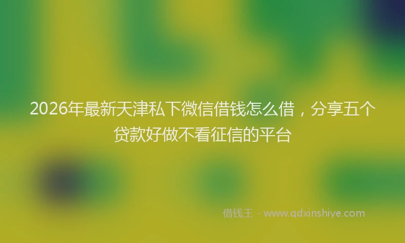 2026年最新天津私下微信借钱怎么借，分享五个贷款好做不看征信的平台