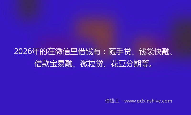 2026年的在微信里借钱有：随手贷、钱袋快融、借款宝易融、微粒贷、花豆分期等。