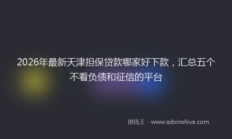 2026年最新天津担保贷款哪家好下款，汇总五个不看负债和征信的平台