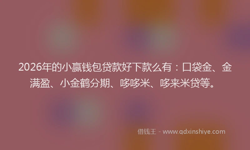 2026年的小赢钱包贷款好下款么有：口袋金、金满盈、小金鹤分期、哆哆米、哆来米贷等。