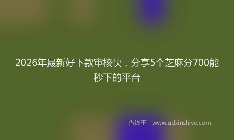 2026年最新好下款审核快，分享5个芝麻分700能秒下的平台