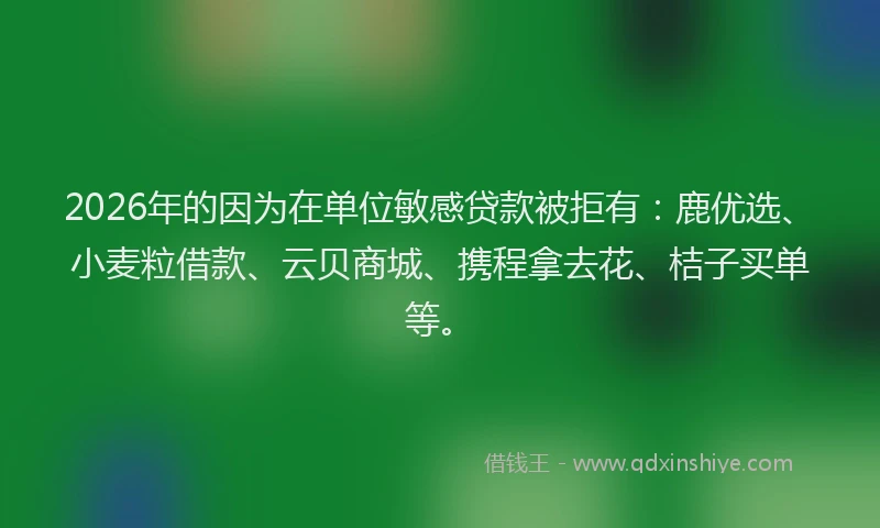 2026年的因为在单位敏感贷款被拒有：鹿优选、小麦粒借款、云贝商城、携程拿去花、桔子买单等。