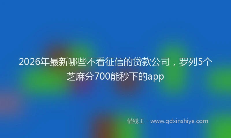 2026年最新哪些不看征信的贷款公司，罗列5个芝麻分700能秒下的app