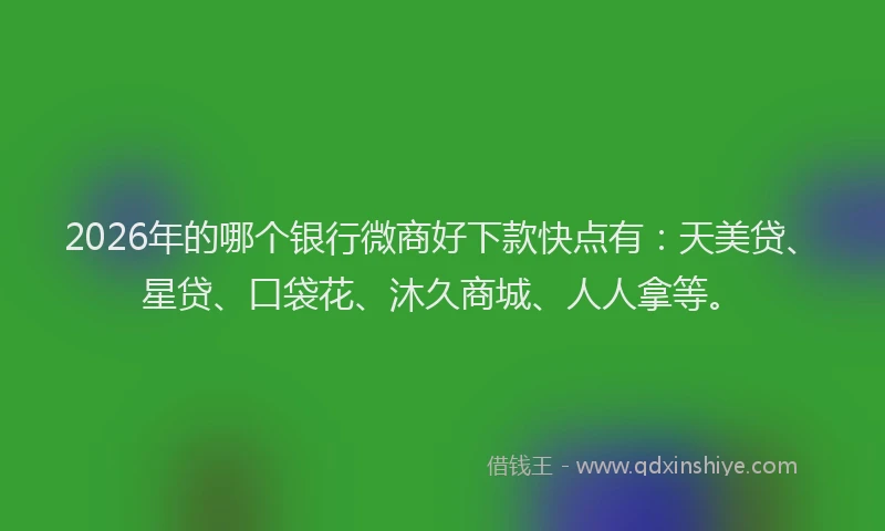 2026年的哪个银行微商好下款快点有：天美贷、星贷、口袋花、沐久商城、人人拿等。