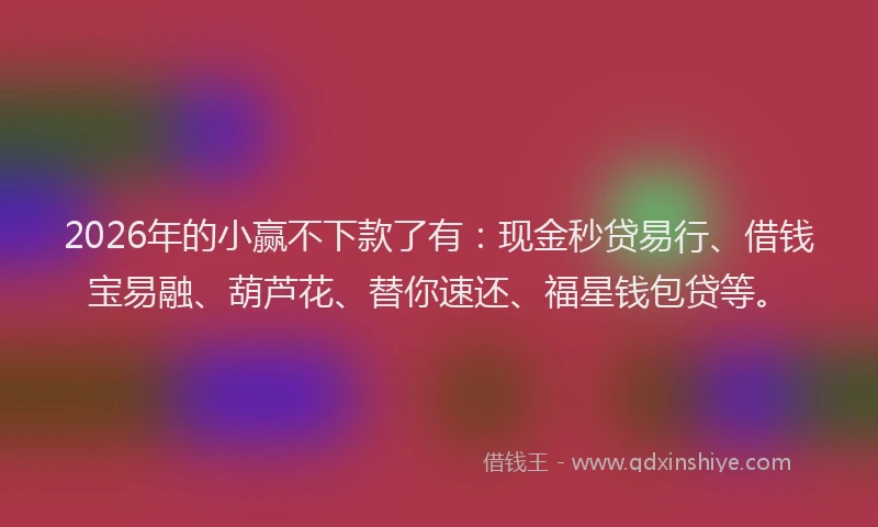 2026年的小赢不下款了有：现金秒贷易行、借钱宝易融、葫芦花、替你速还、福星钱包贷等。