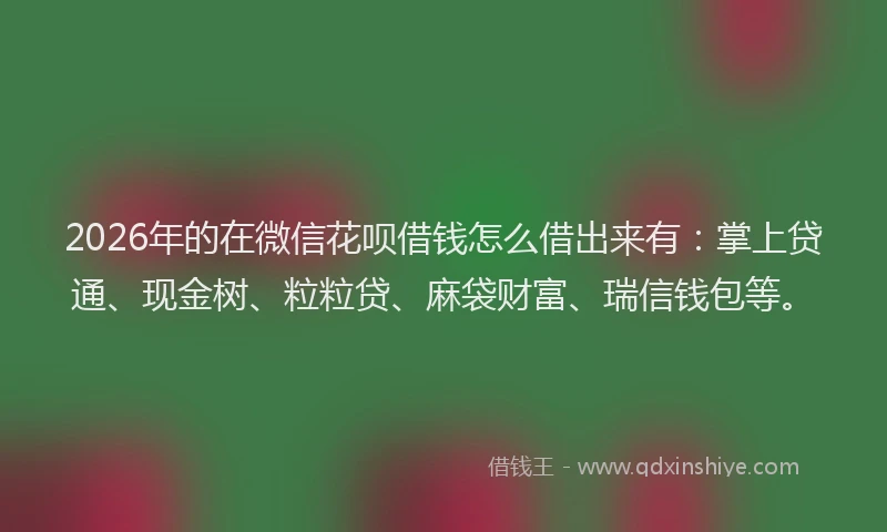 2026年的在微信花呗借钱怎么借出来有：掌上贷通、现金树、粒粒贷、麻袋财富、瑞信钱包等。